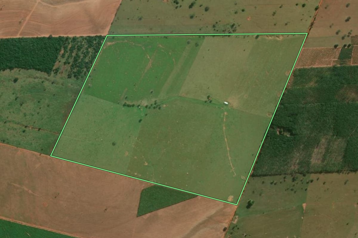 Imagem de satélite do imóvel rural em Junqueirópolis (SP), com o contorno declarado no CAR desenhado por cima.