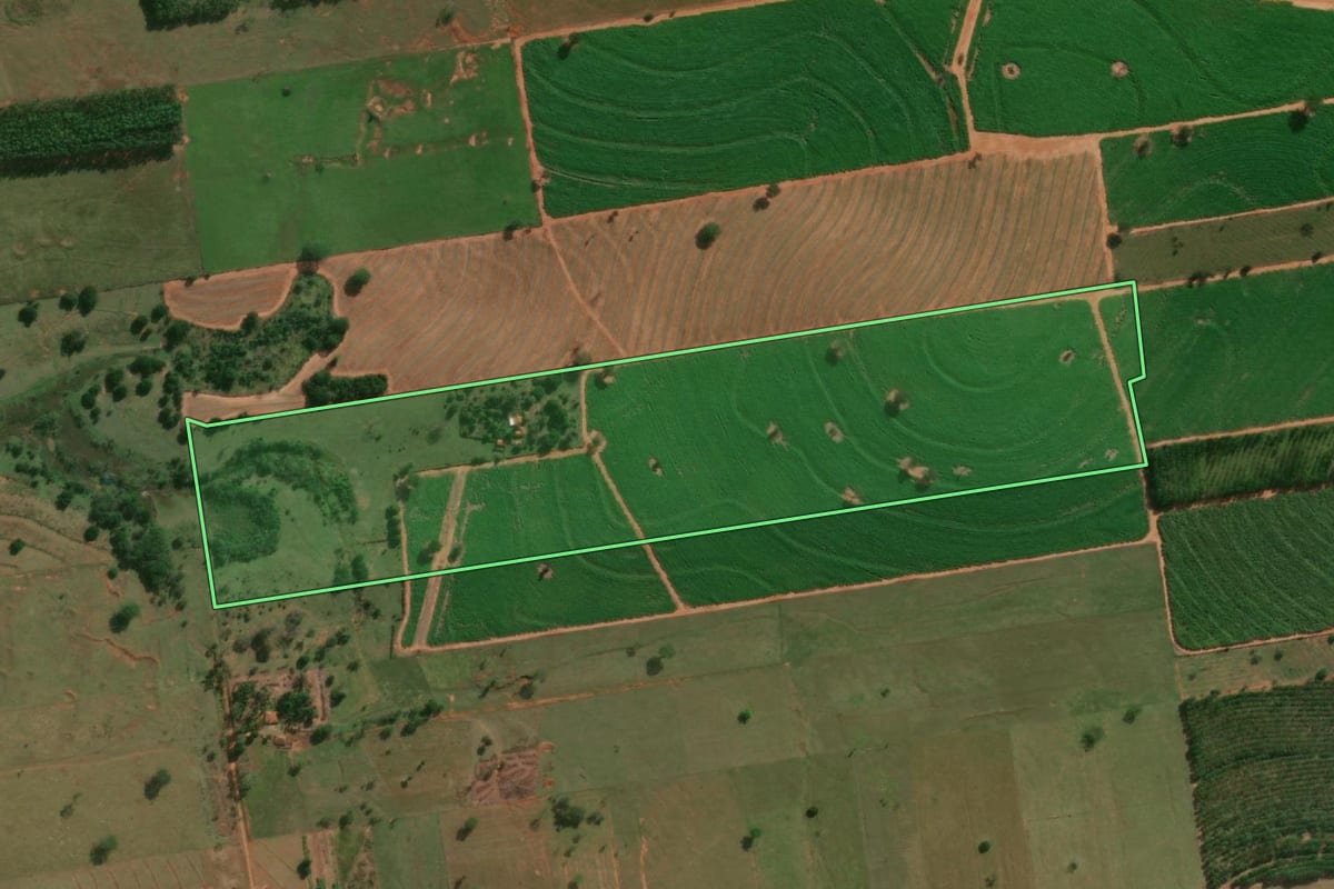 Imagem de satélite do imóvel rural em Junqueirópolis (SP), com o contorno declarado no CAR desenhado por cima.