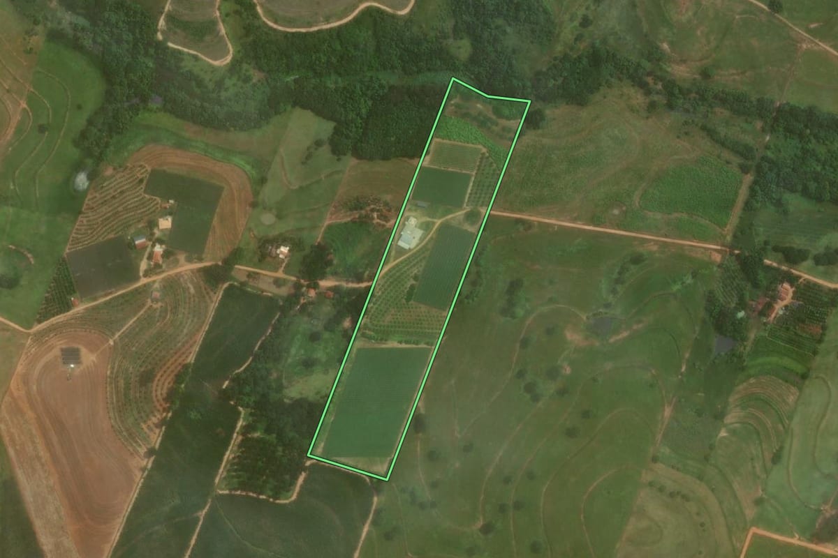 Imagem de satélite do imóvel rural em Junqueirópolis (SP), com o contorno declarado no CAR desenhado por cima.