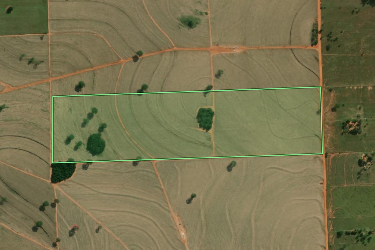 Imagem de satélite do imóvel rural em Junqueirópolis (SP), com o contorno declarado no CAR desenhado por cima.