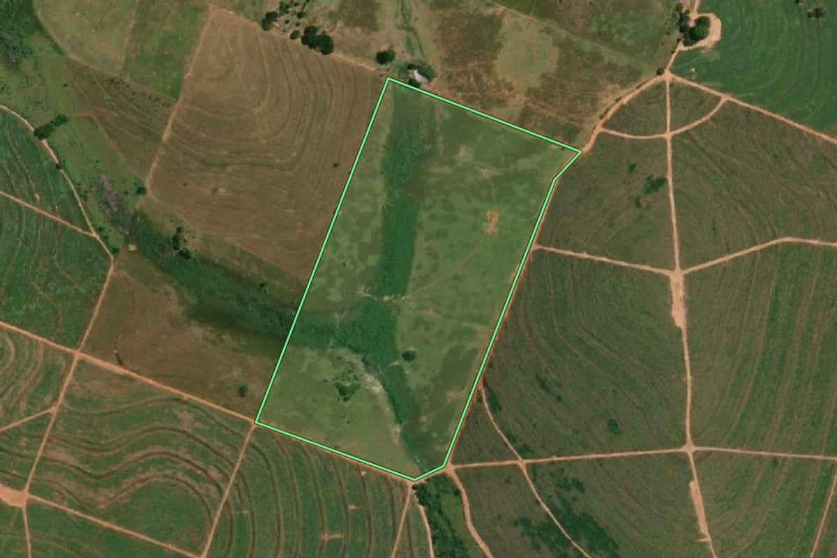 Imagem de satélite do imóvel rural em Junqueirópolis (SP), com o contorno declarado no CAR desenhado por cima.