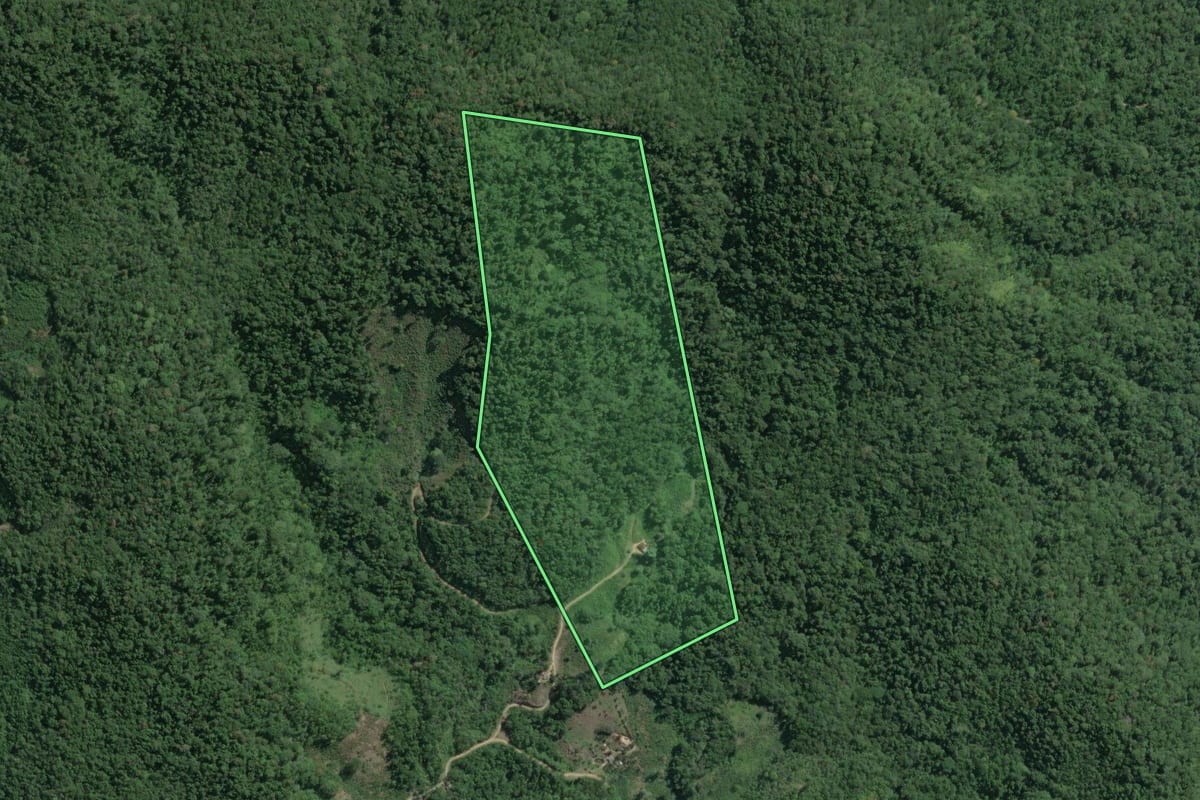 Imagem de satélite do imóvel rural em Juquiá (SP), com o contorno declarado no CAR desenhado por cima.