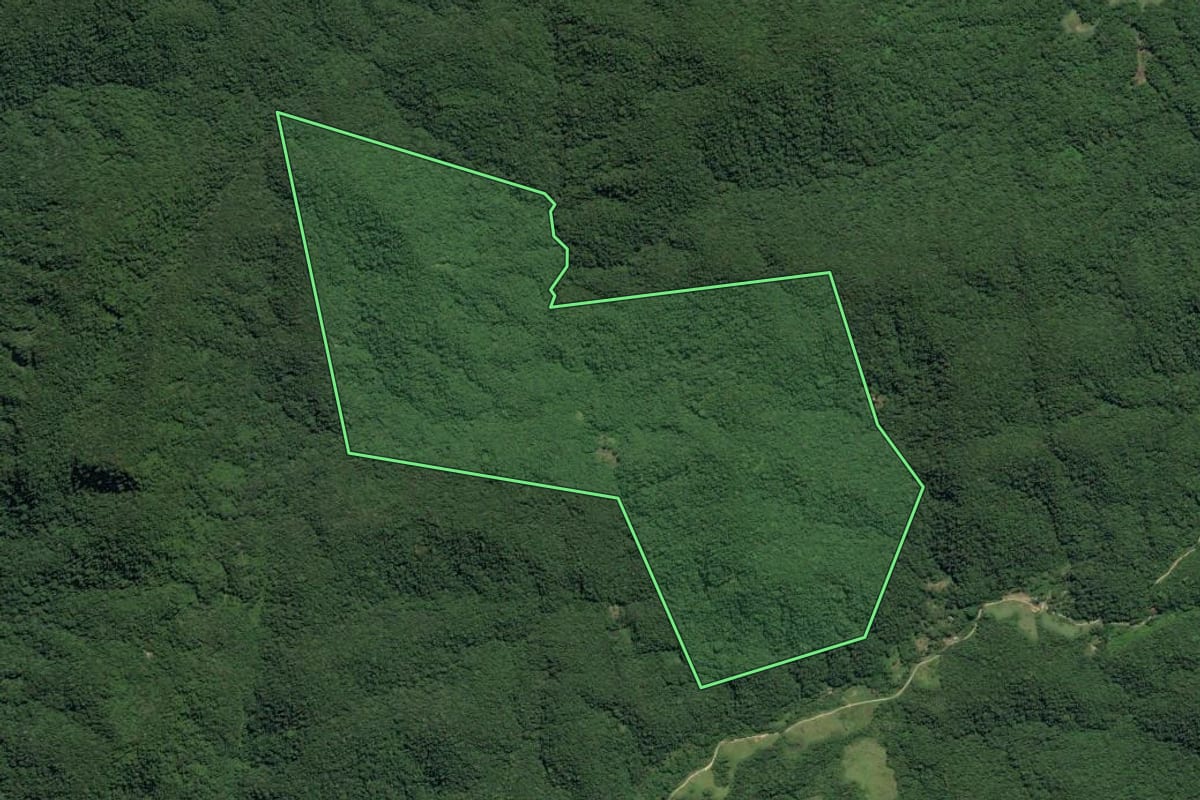 Imagem de satélite do imóvel rural em Juquiá (SP), com o contorno declarado no CAR desenhado por cima.