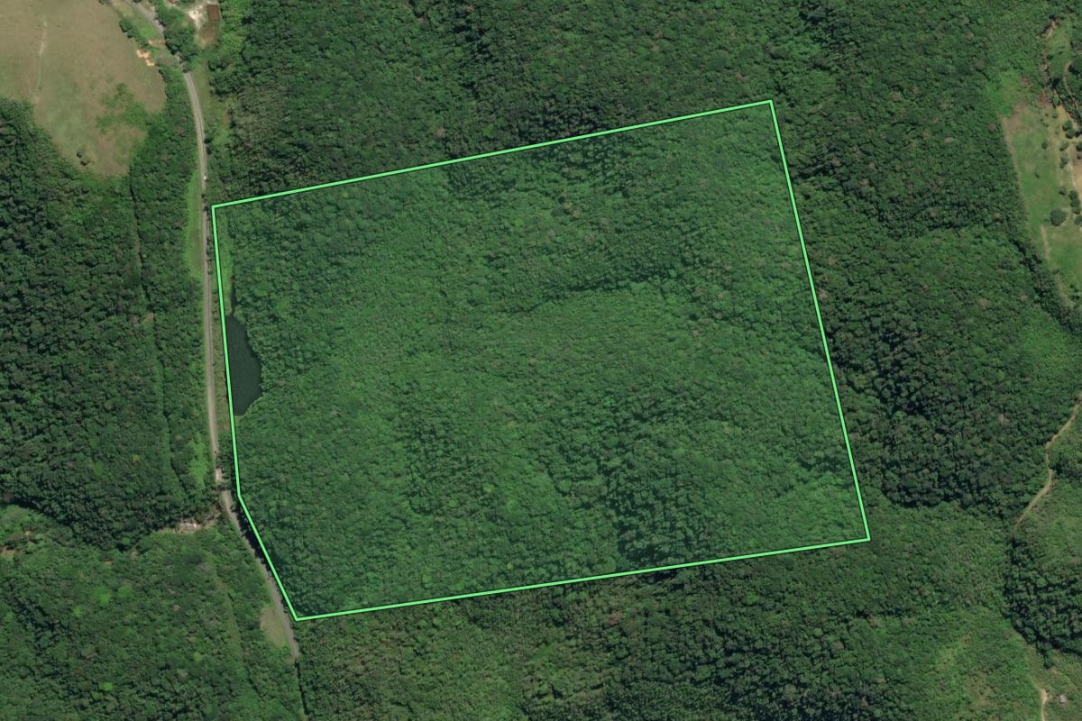 Imagem de satélite do imóvel rural em Juquiá (SP), com o contorno declarado no CAR desenhado por cima.