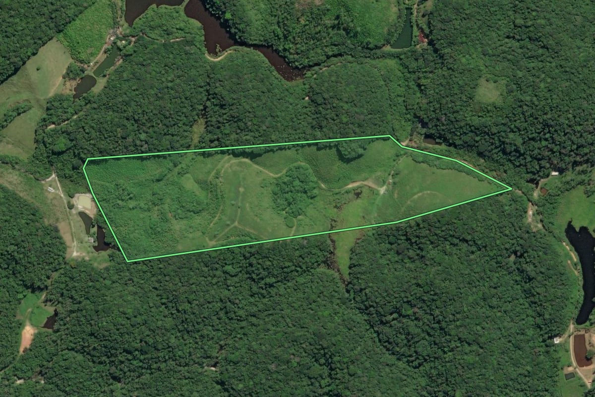 Imagem de satélite do imóvel rural em Juquiá (SP), com o contorno declarado no CAR desenhado por cima.