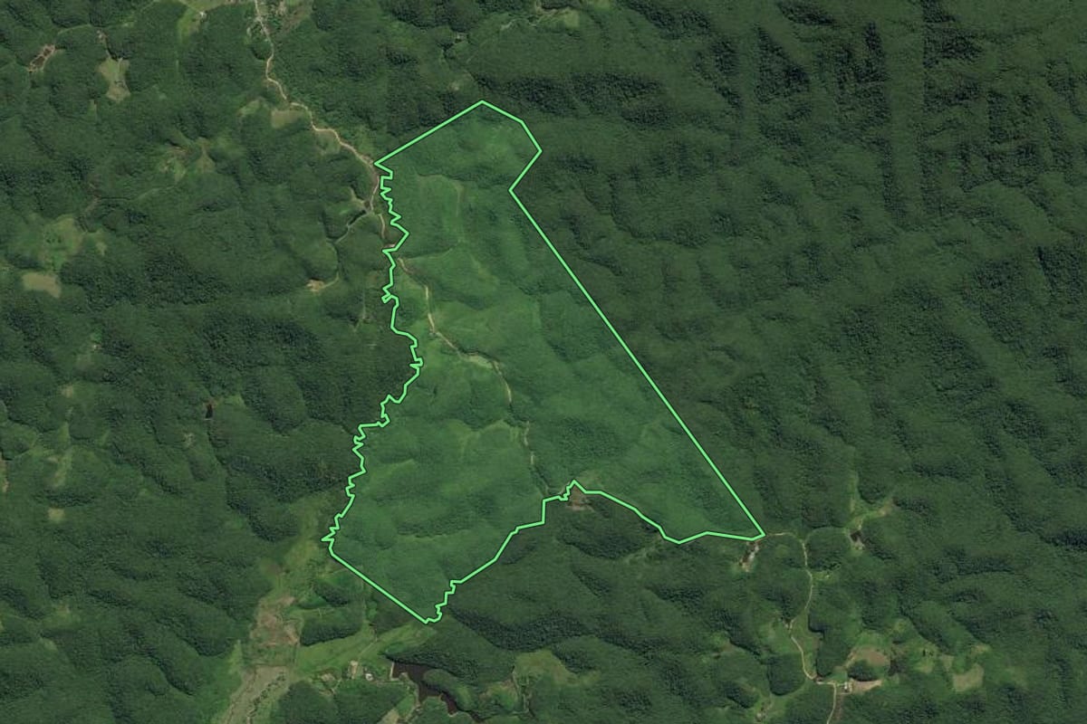 Imagem de satélite do imóvel rural em Juquiá (SP), com o contorno declarado no CAR desenhado por cima.