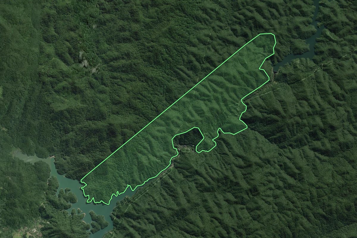 Imagem de satélite do imóvel rural em Juquiá (SP), com o contorno declarado no CAR desenhado por cima.