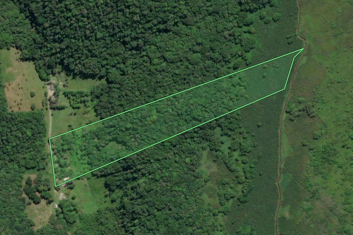 Imagem de satélite do imóvel rural em Juquiá (SP), com o contorno declarado no CAR desenhado por cima.