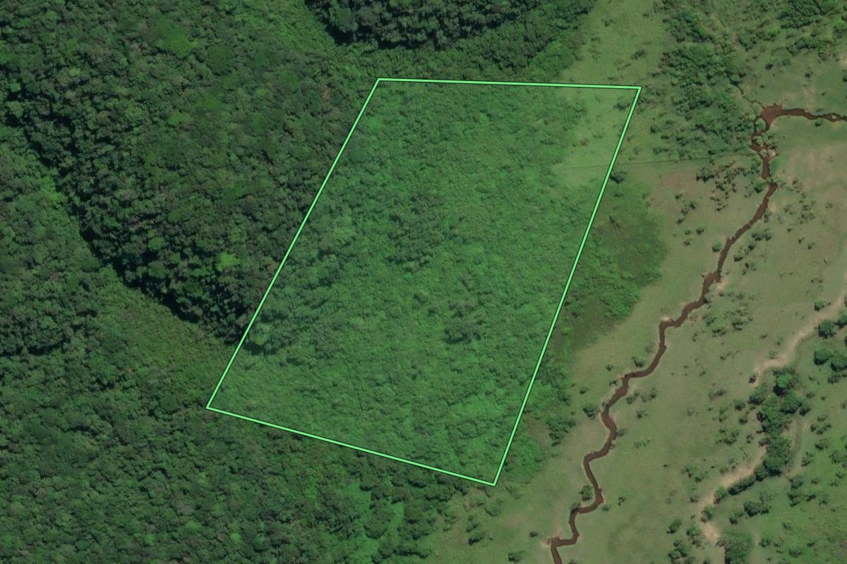 Imagem de satélite do imóvel rural em Juquiá (SP), com o contorno declarado no CAR desenhado por cima.