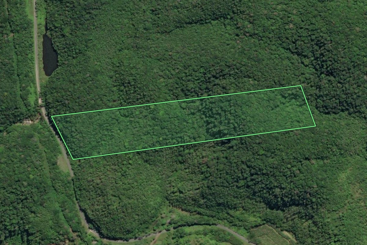 Imagem de satélite do imóvel rural em Juquiá (SP), com o contorno declarado no CAR desenhado por cima.
