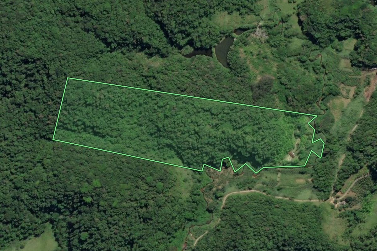 Imagem de satélite do imóvel rural em Juquiá (SP), com o contorno declarado no CAR desenhado por cima.