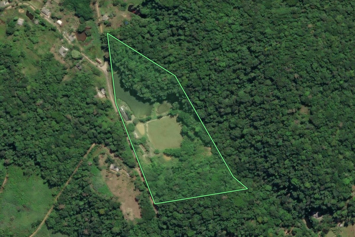 Imagem de satélite do imóvel rural em Juquiá (SP), com o contorno declarado no CAR desenhado por cima.