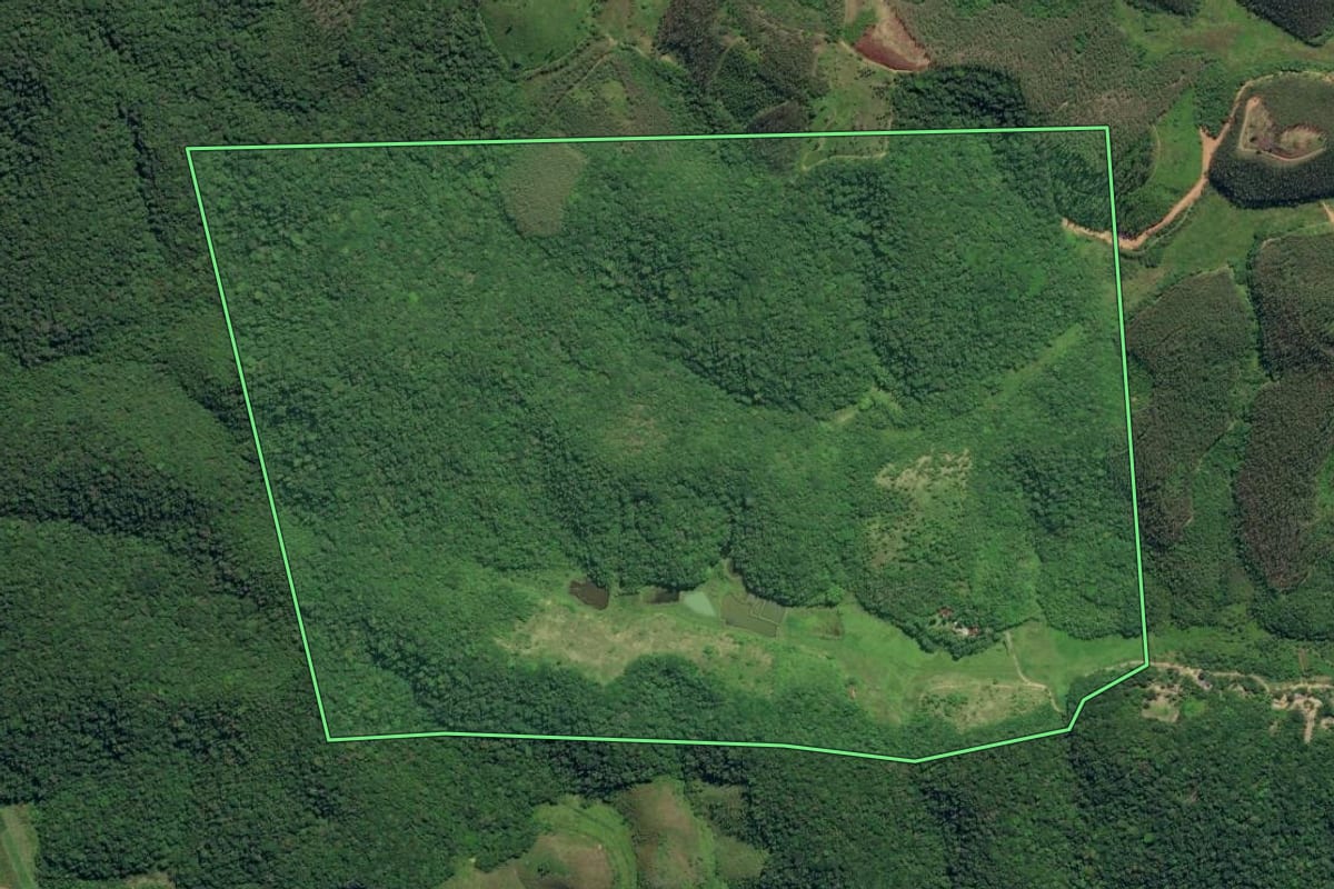 Imagem de satélite do imóvel rural em Juquiá (SP), com o contorno declarado no CAR desenhado por cima.