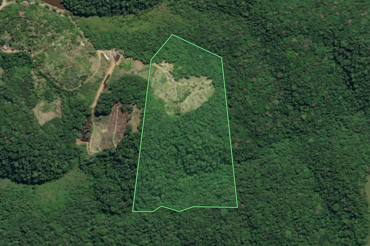 Imagem de satélite do imóvel rural em Juquiá (SP), com o contorno declarado no CAR desenhado por cima.