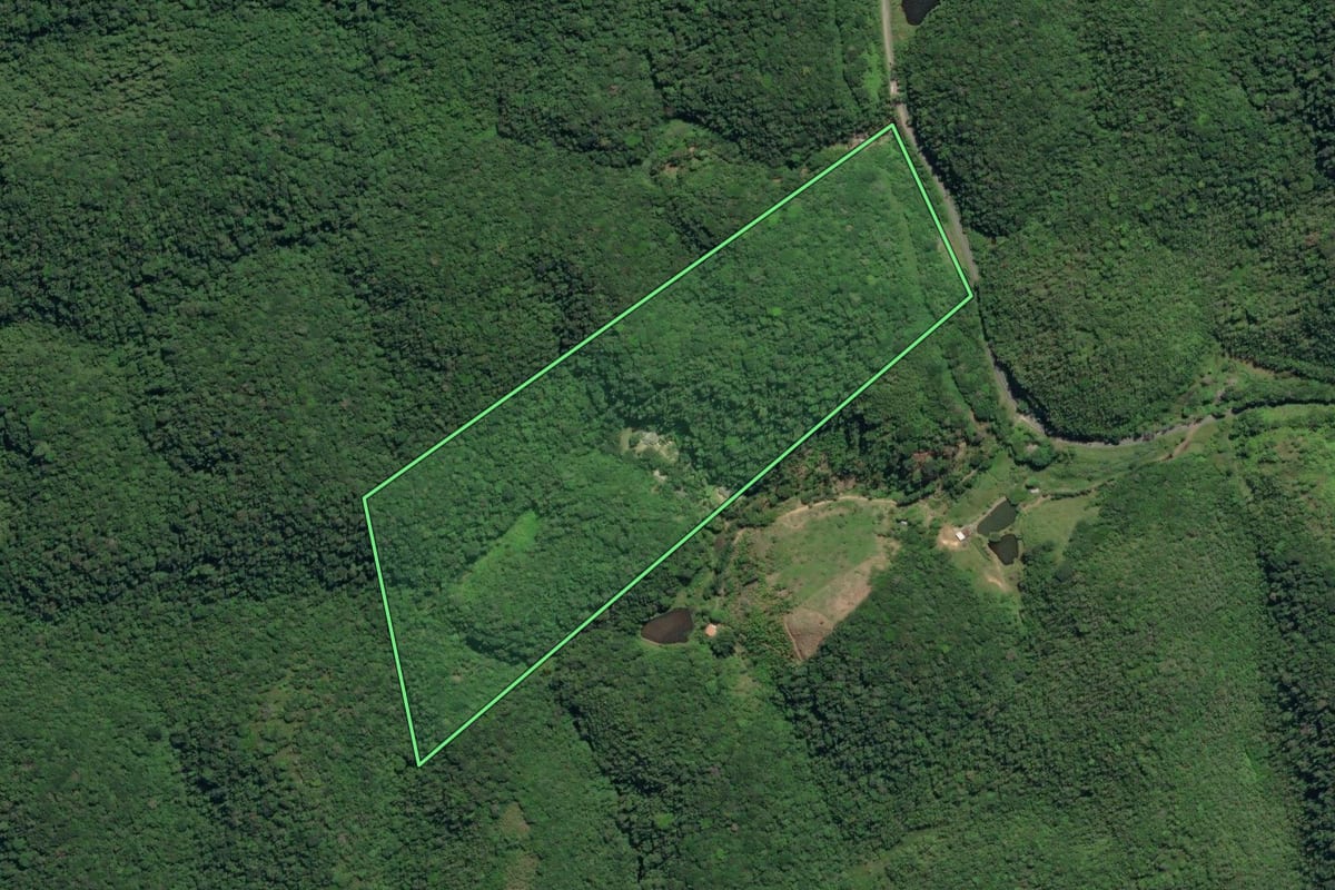 Imagem de satélite do imóvel rural em Juquiá (SP), com o contorno declarado no CAR desenhado por cima.