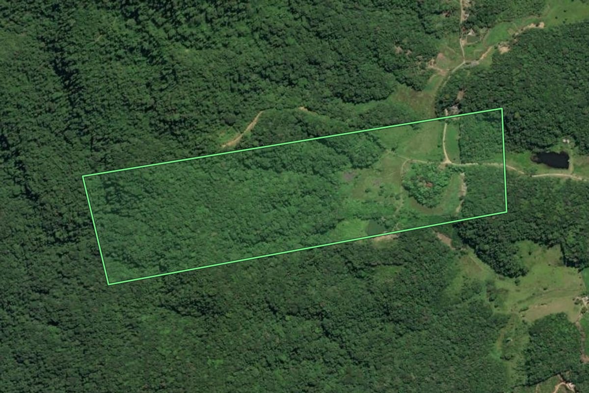 Imagem de satélite do imóvel rural em Juquiá (SP), com o contorno declarado no CAR desenhado por cima.