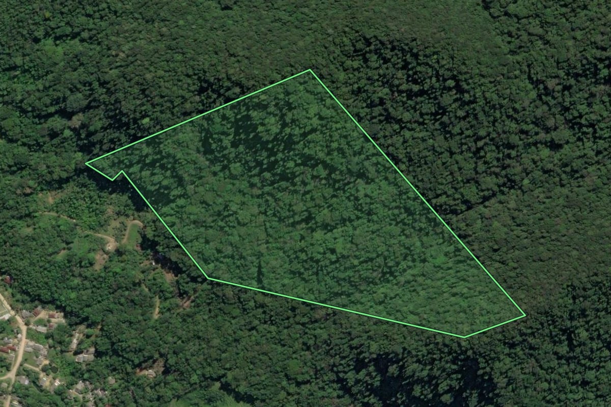 Imagem de satélite do imóvel rural em Juquiá (SP), com o contorno declarado no CAR desenhado por cima.