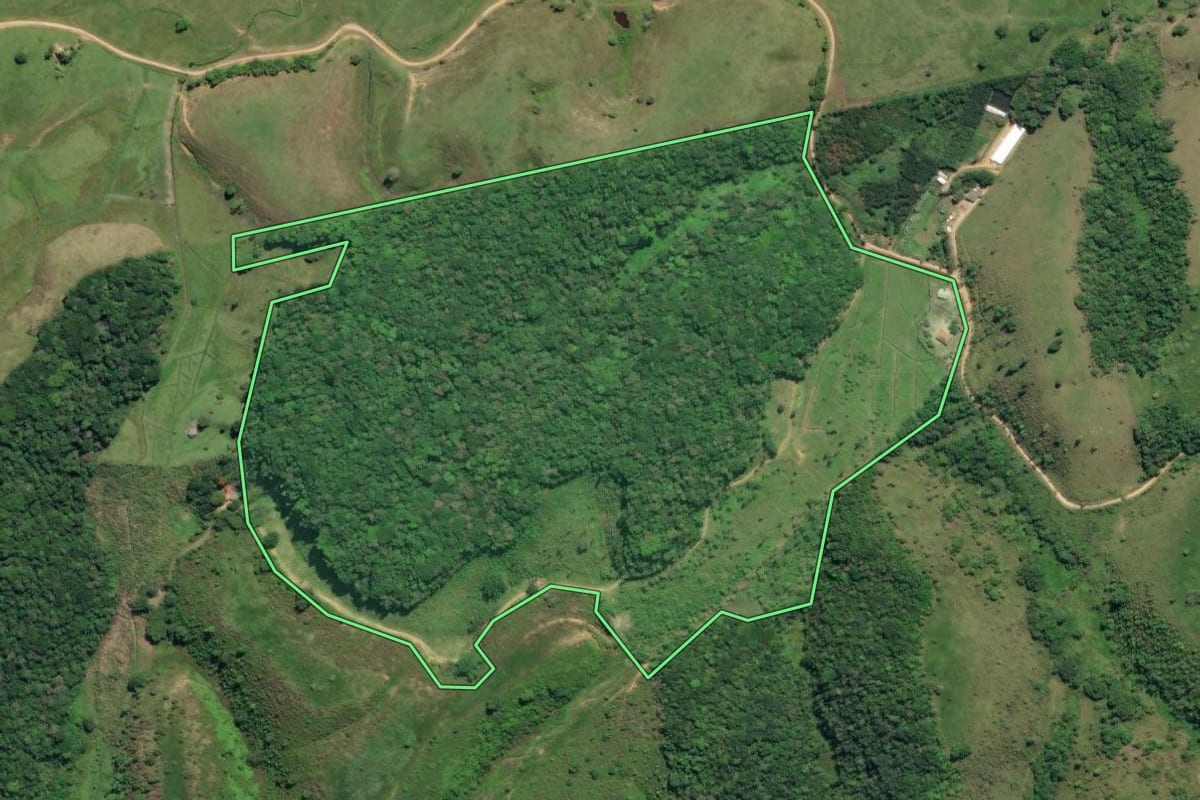 Imagem de satélite do imóvel rural em Juquiá (SP), com o contorno declarado no CAR desenhado por cima.