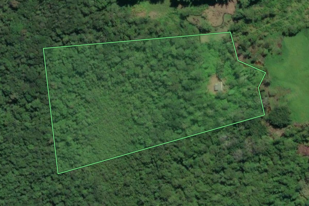 Imagem de satélite do imóvel rural em Juquiá (SP), com o contorno declarado no CAR desenhado por cima.