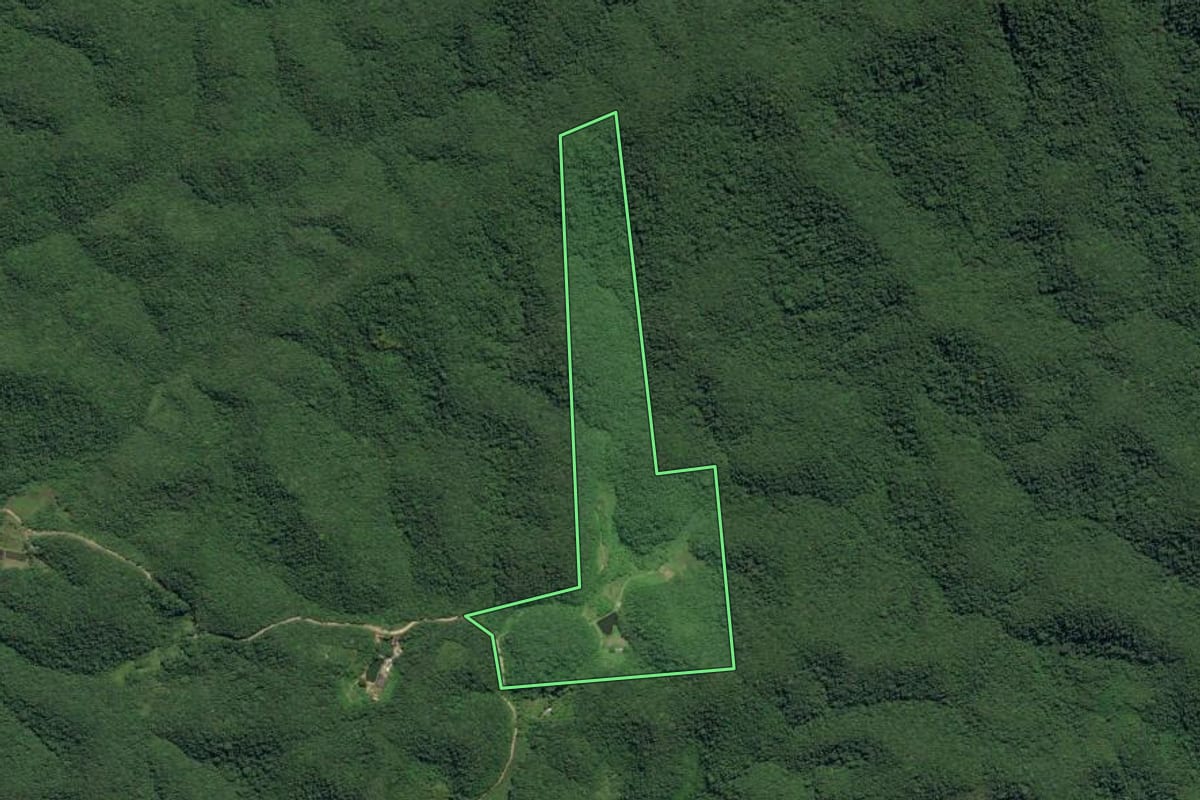 Imagem de satélite do imóvel rural em Juquiá (SP), com o contorno declarado no CAR desenhado por cima.