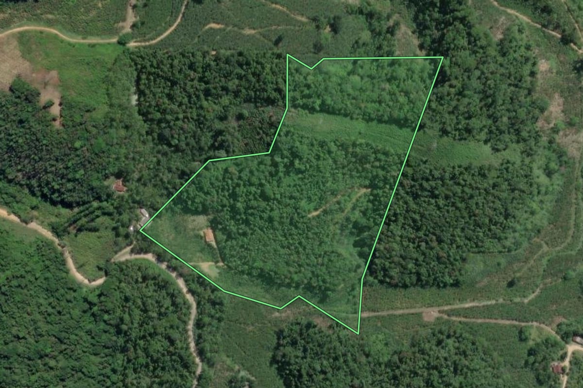 Imagem de satélite do imóvel rural em Juquiá (SP), com o contorno declarado no CAR desenhado por cima.