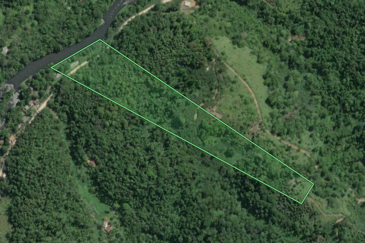 Imagem de satélite do imóvel rural em Juquiá (SP), com o contorno declarado no CAR desenhado por cima.