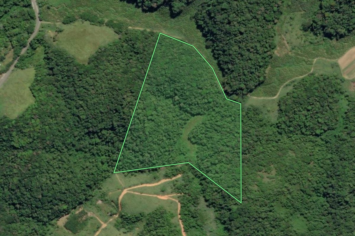 Imagem de satélite do imóvel rural em Juquiá (SP), com o contorno declarado no CAR desenhado por cima.