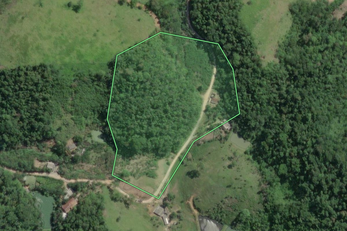 Imagem de satélite do imóvel rural em Juquiá (SP), com o contorno declarado no CAR desenhado por cima.