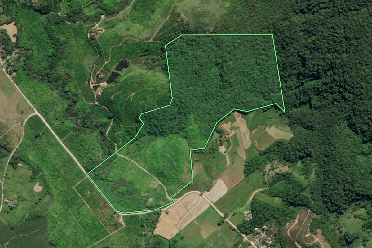 Imagem de satélite do imóvel rural em Juquiá (SP), com o contorno declarado no CAR desenhado por cima.