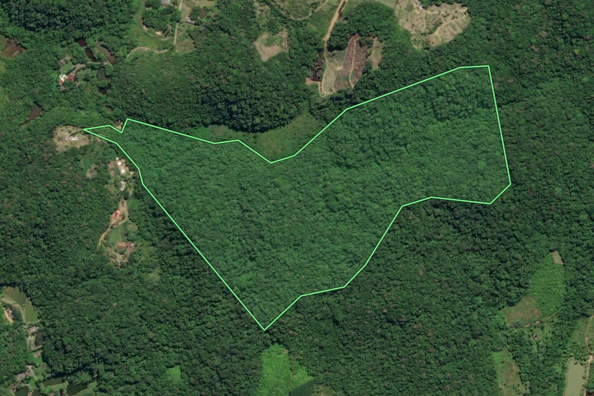 Imagem de satélite do imóvel rural em Juquiá (SP), com o contorno declarado no CAR desenhado por cima.