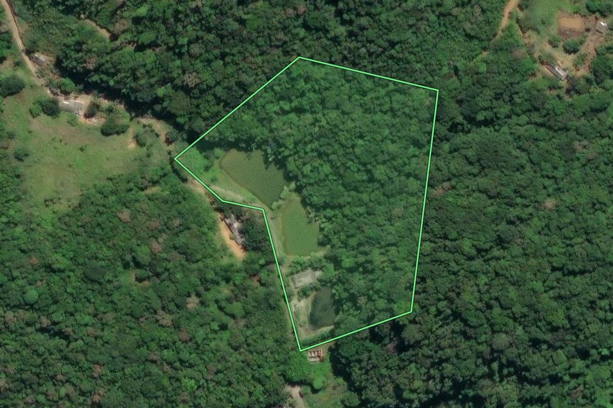 Imagem de satélite do imóvel rural em Juquiá (SP), com o contorno declarado no CAR desenhado por cima.