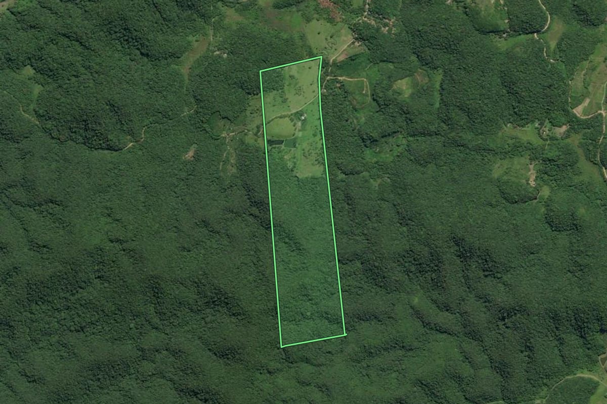 Imagem de satélite do imóvel rural em Juquiá (SP), com o contorno declarado no CAR desenhado por cima.
