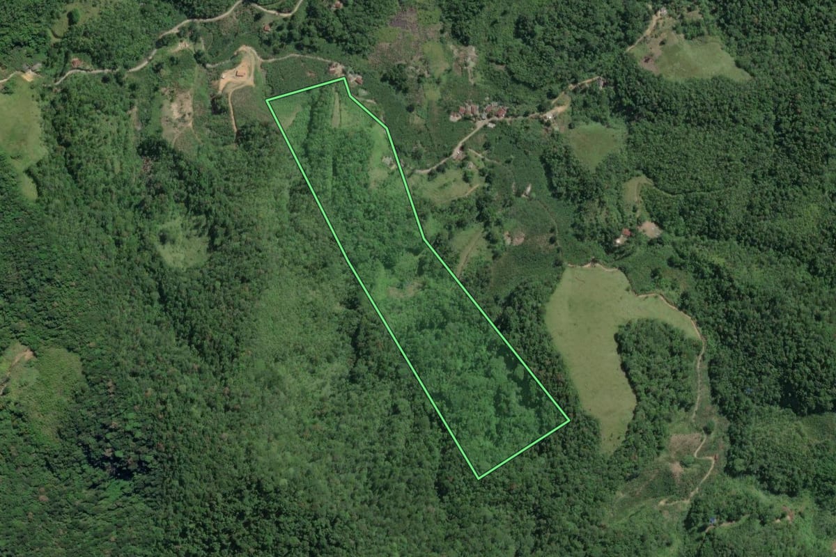 Imagem de satélite do imóvel rural em Juquiá (SP), com o contorno declarado no CAR desenhado por cima.