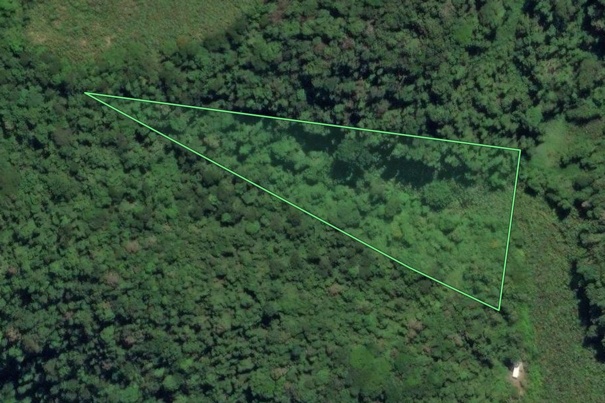 Imagem de satélite do imóvel rural em Juquiá (SP), com o contorno declarado no CAR desenhado por cima.