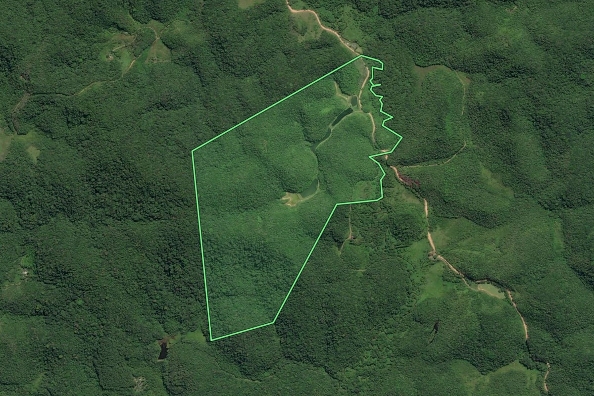 Imagem de satélite do imóvel rural em Juquiá (SP), com o contorno declarado no CAR desenhado por cima.