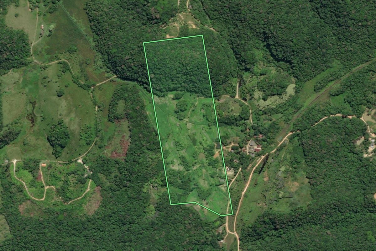 Imagem de satélite do imóvel rural em Juquiá (SP), com o contorno declarado no CAR desenhado por cima.