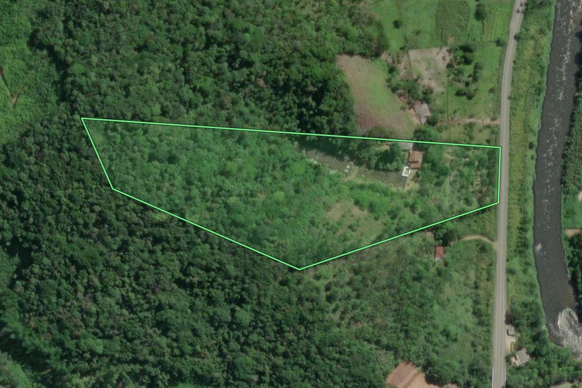 Imagem de satélite do imóvel rural em Juquiá (SP), com o contorno declarado no CAR desenhado por cima.