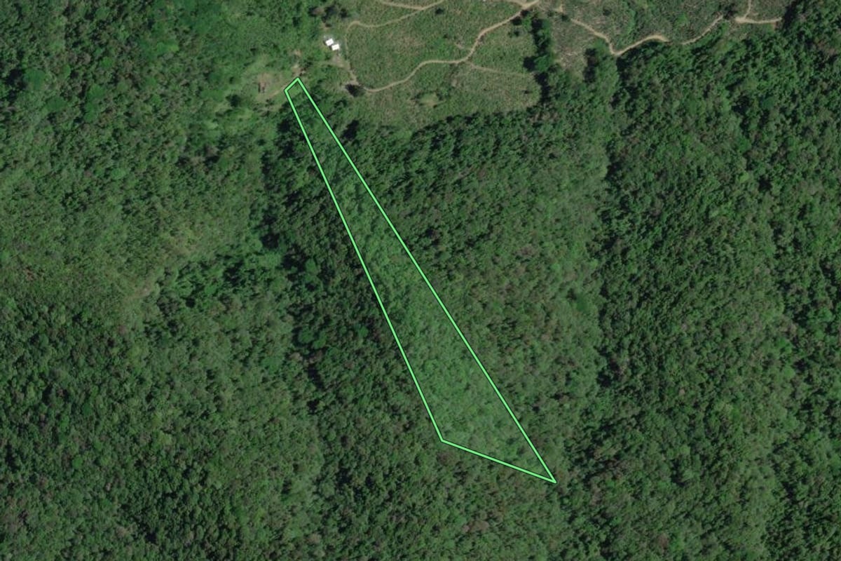 Imagem de satélite do imóvel rural em Juquiá (SP), com o contorno declarado no CAR desenhado por cima.