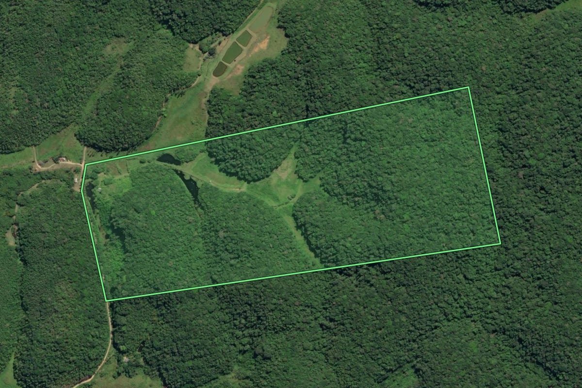 Imagem de satélite do imóvel rural em Juquiá (SP), com o contorno declarado no CAR desenhado por cima.