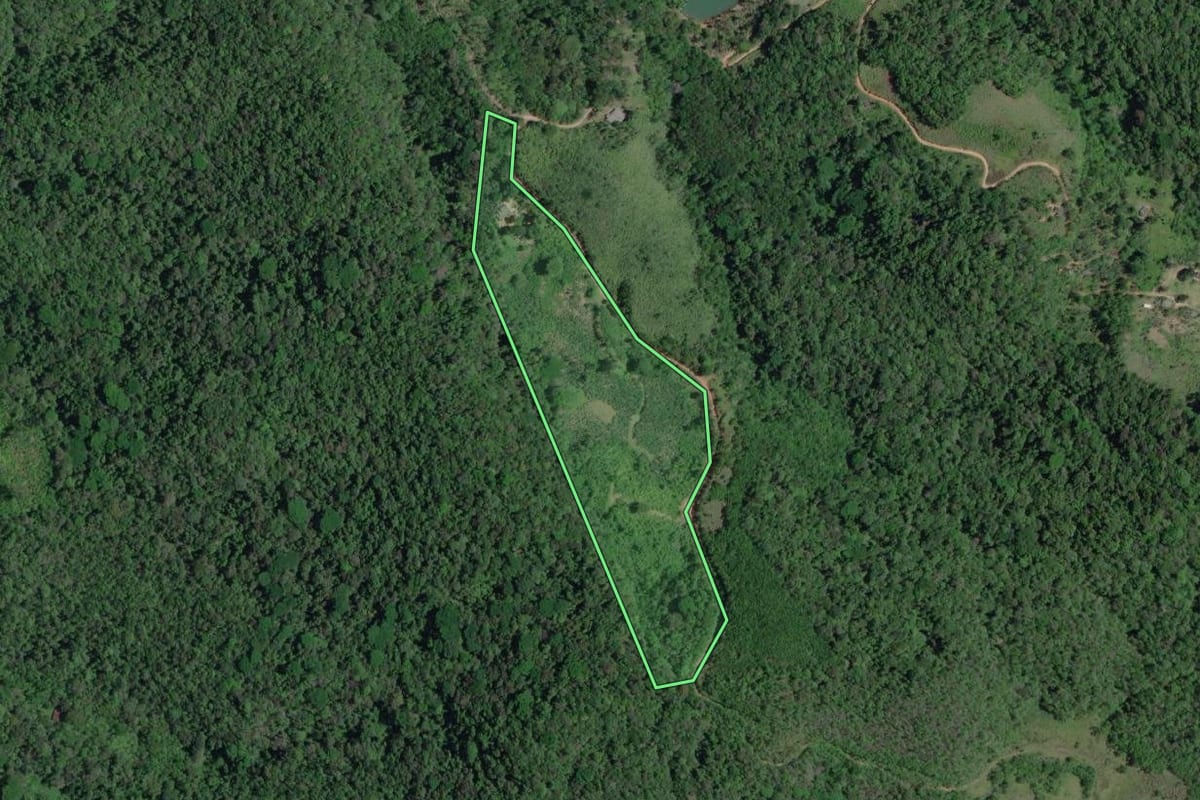 Imagem de satélite do imóvel rural em Juquiá (SP), com o contorno declarado no CAR desenhado por cima.