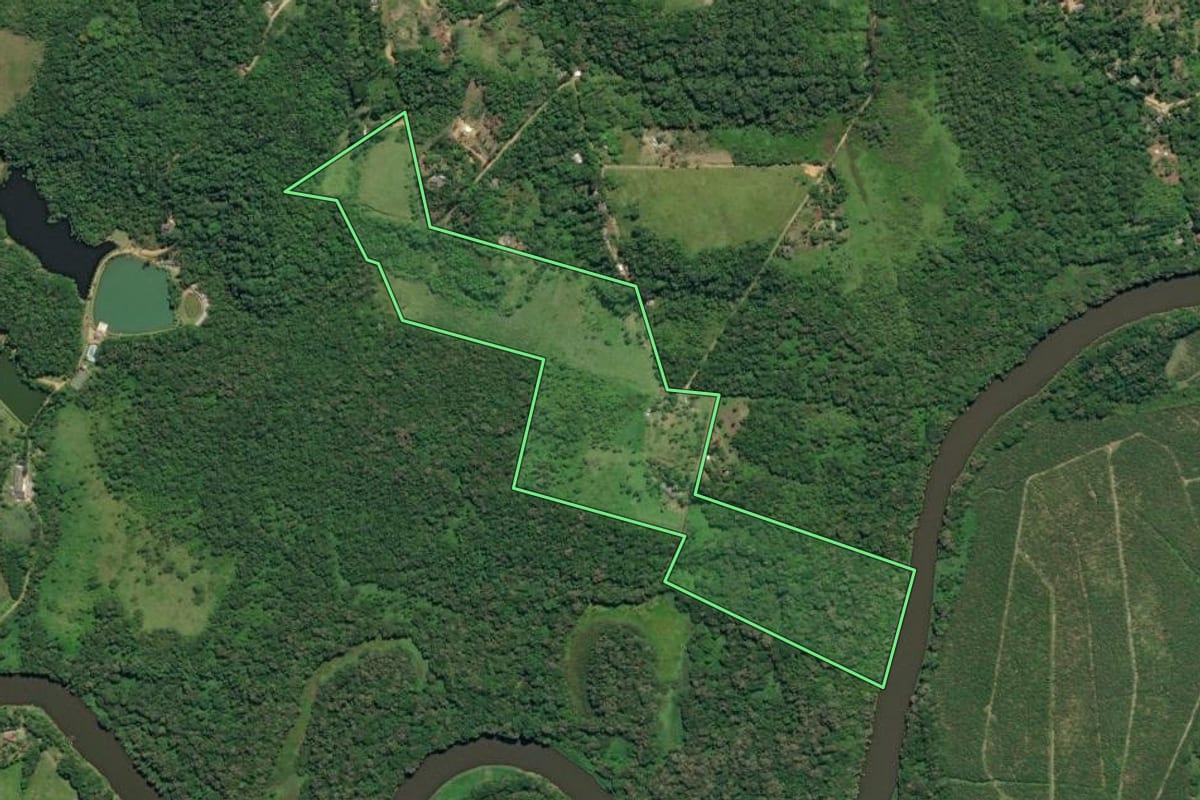 Imagem de satélite do imóvel rural em Juquiá (SP), com o contorno declarado no CAR desenhado por cima.