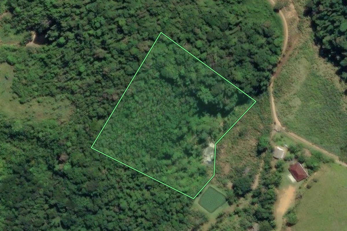 Imagem de satélite do imóvel rural em Juquiá (SP), com o contorno declarado no CAR desenhado por cima.