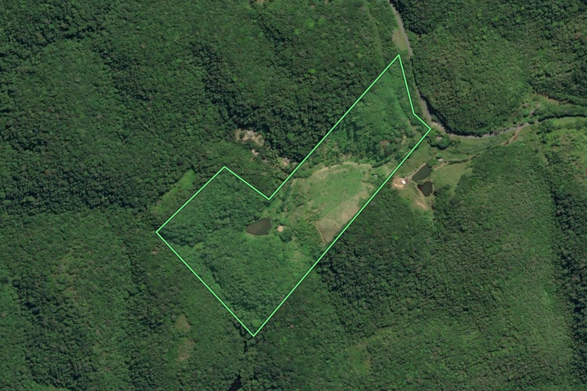 Imagem de satélite do imóvel rural em Juquiá (SP), com o contorno declarado no CAR desenhado por cima.