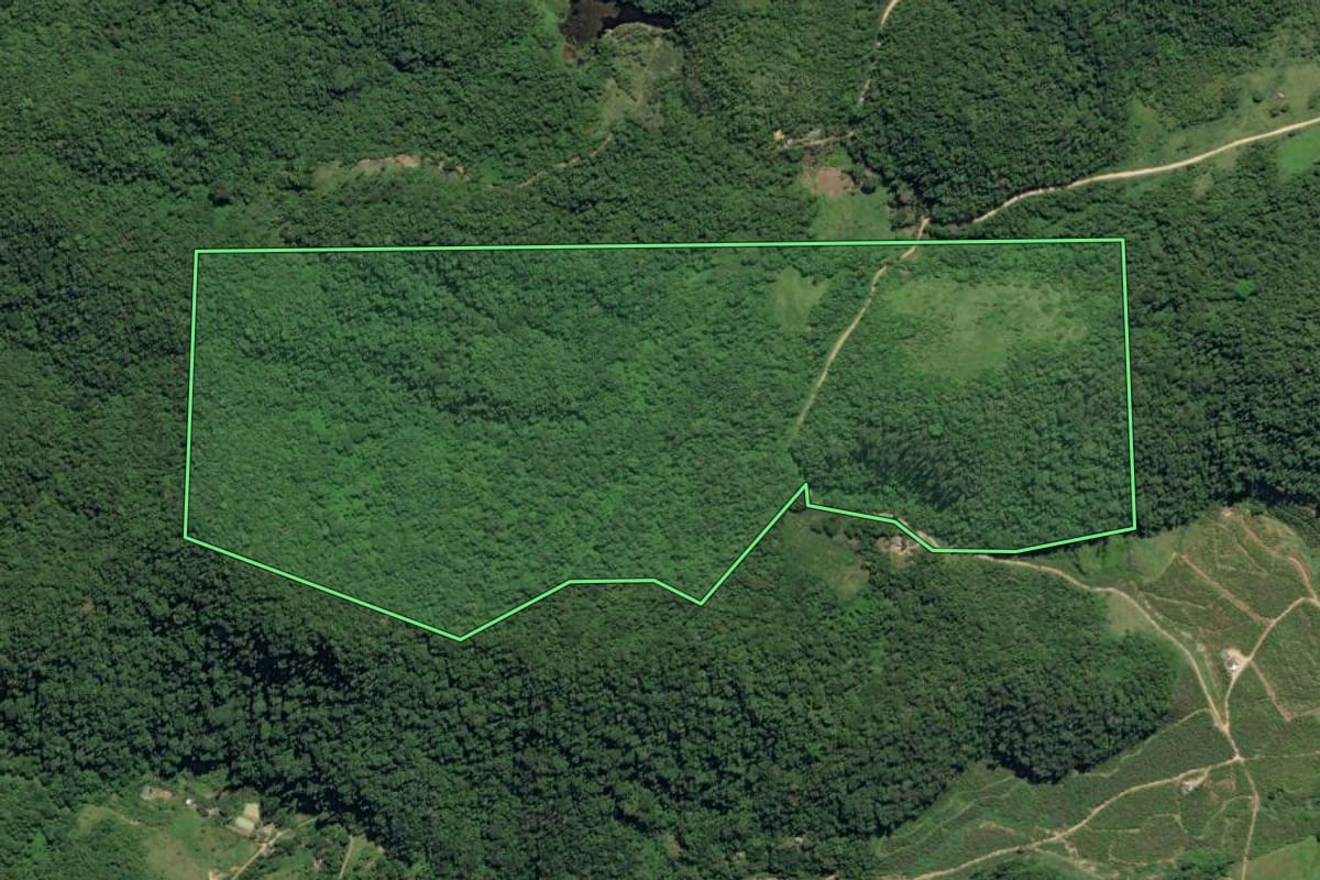 Imagem de satélite do imóvel rural em Juquiá (SP), com o contorno declarado no CAR desenhado por cima.