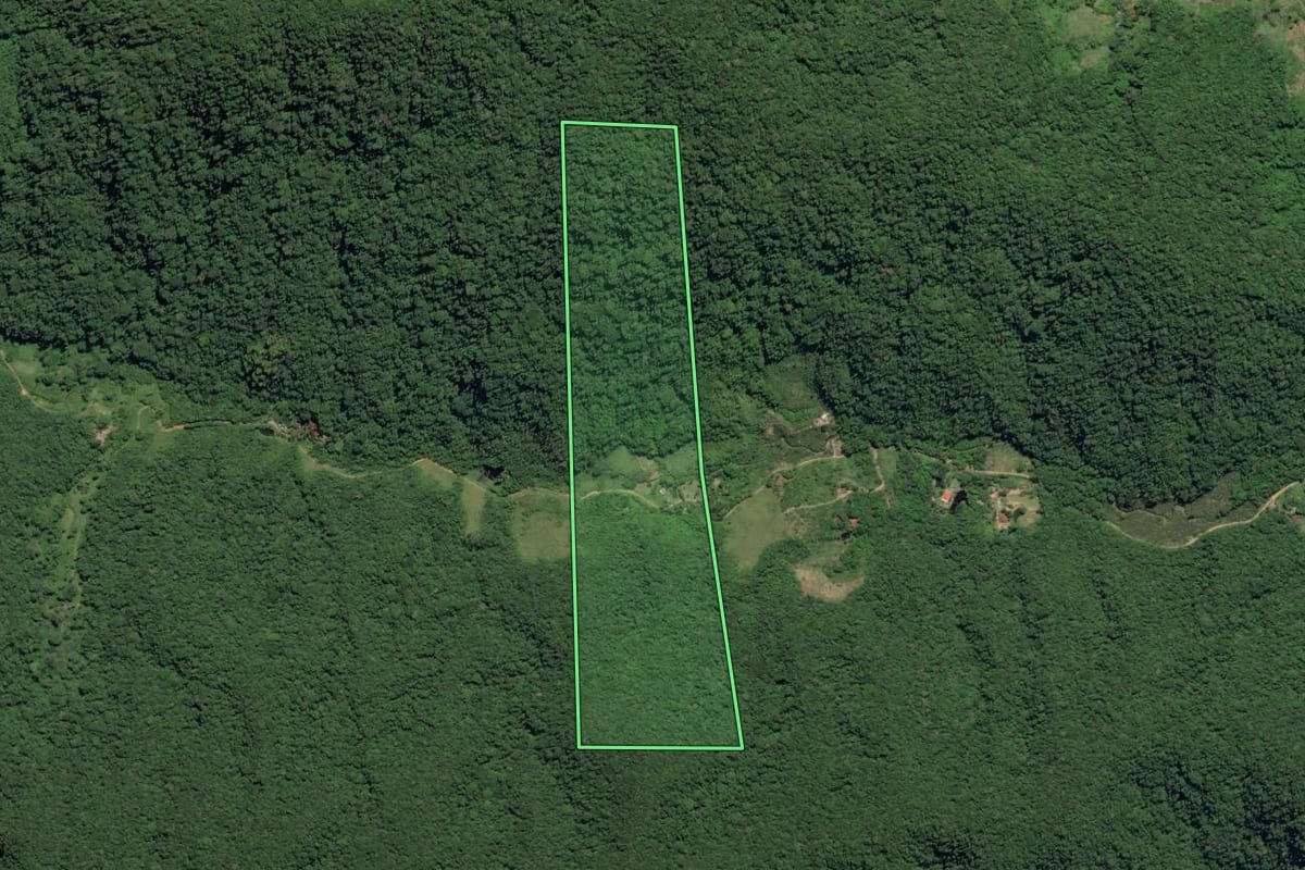 Imagem de satélite do imóvel rural em Juquiá (SP), com o contorno declarado no CAR desenhado por cima.