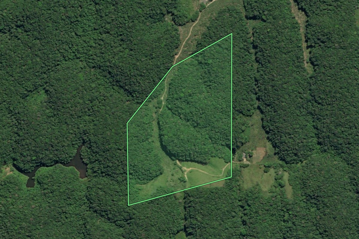 Imagem de satélite do imóvel rural em Juquiá (SP), com o contorno declarado no CAR desenhado por cima.