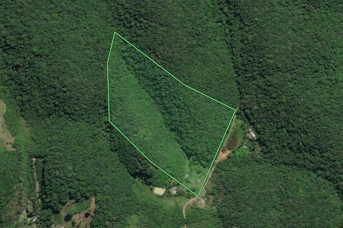 Imagem de satélite do imóvel rural em Juquiá (SP), com o contorno declarado no CAR desenhado por cima.
