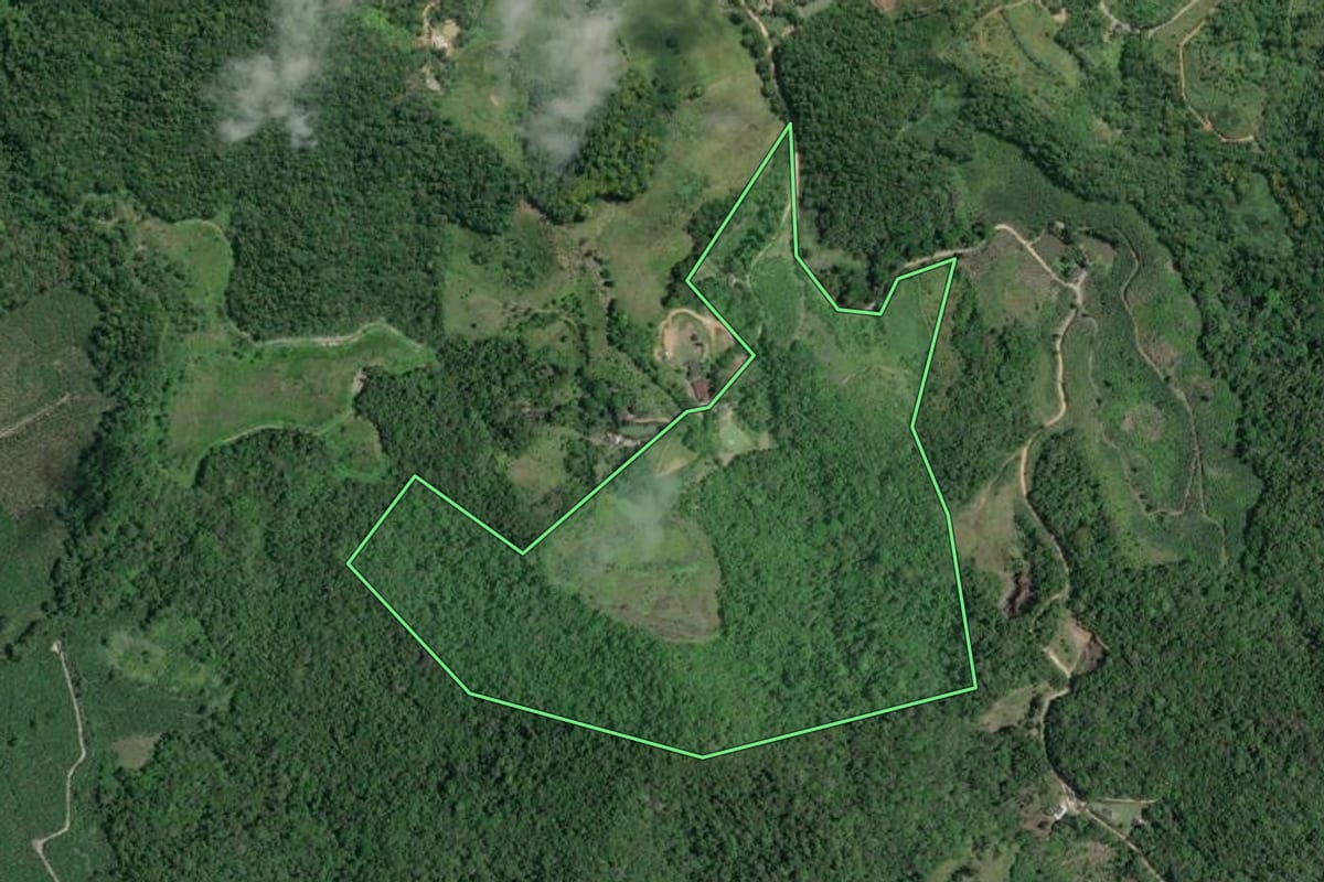 Imagem de satélite do imóvel rural em Juquiá (SP), com o contorno declarado no CAR desenhado por cima.