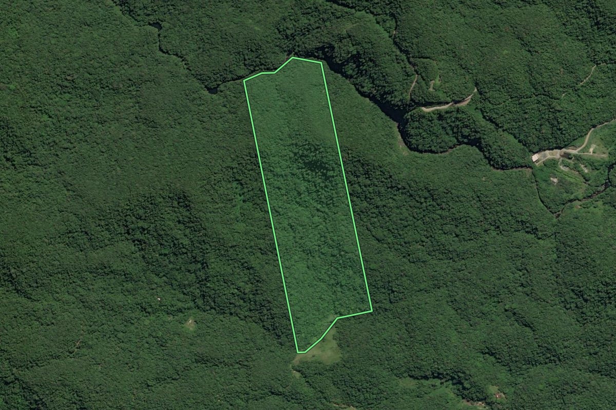 Imagem de satélite do imóvel rural em Juquiá (SP), com o contorno declarado no CAR desenhado por cima.