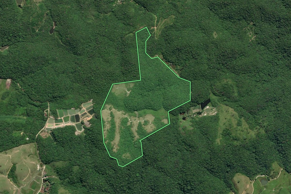 Imagem de satélite do imóvel rural em Juquiá (SP), com o contorno declarado no CAR desenhado por cima.
